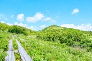 峰種類|霧ヶ峰｜百花繚乱の高山植物を楽しむ高原ハイキング＆登山ルー 